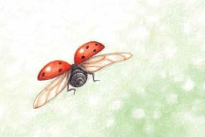 Screen Shot 2015-08-19 at 10.28.41 AM